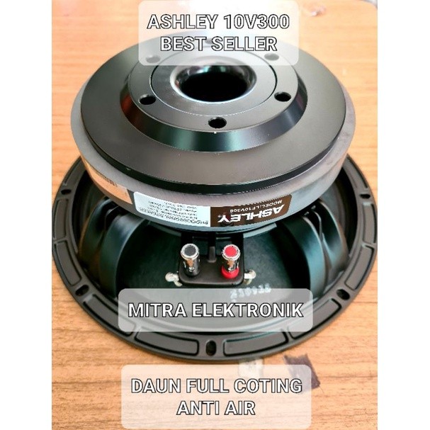 SPEAKER ASHLEY LF10V300 ORIGINAL ASHLEY 10V300/10 V300 middle ashley 10" middle