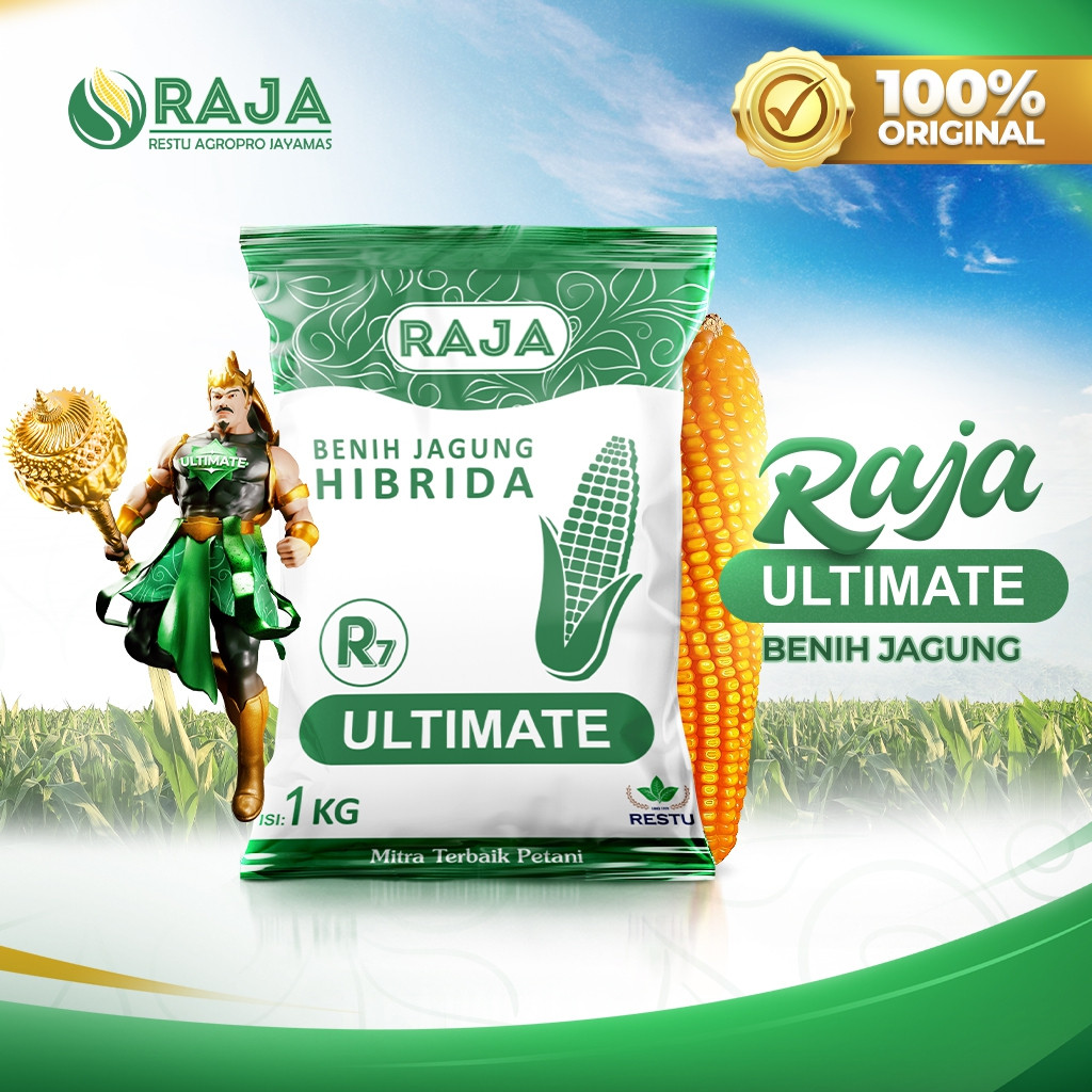 Benih Jagung RAJA R7 Ultimate - 1kg