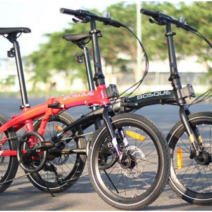 Sepeda ecosmo bosque