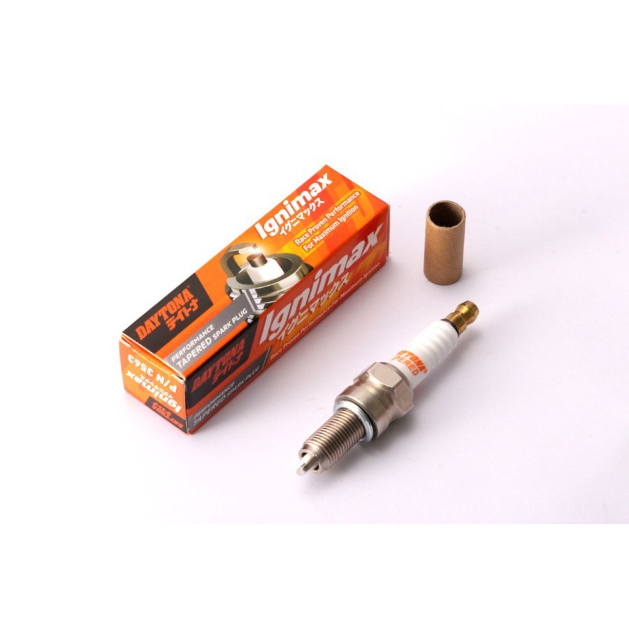 MolygenM4 - Busi Beat, Beat Fi Daytona Tapered