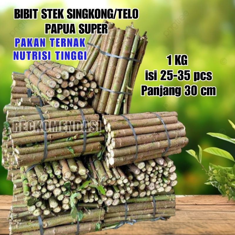 1 Kg Bibit Tanaman Singkong/Telo Papua Pakan Ternak