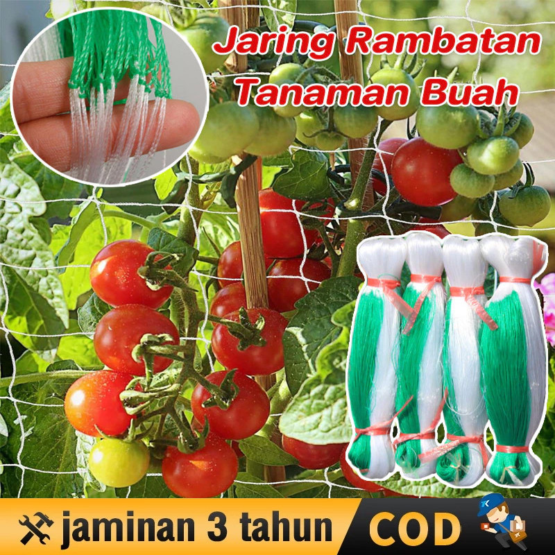 2M X 100M Jaring Rambatan Tanaman Kebun Trellis Netting Green Net Farm Climbing Net Anggur Jaring Al