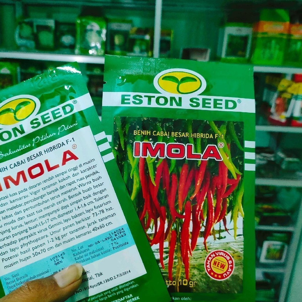Benih Cabe Imola New F1 10gr Original Eston Seed Tahan Virus Panen Cepat