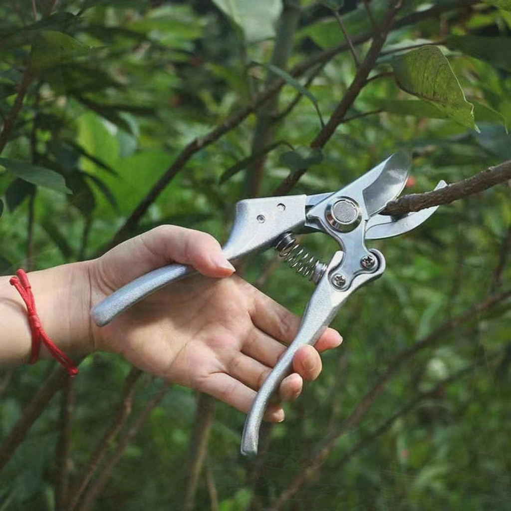 Gunting Berkebun / Gunting Pemotong / Tanaman Pemotong / Gunting Tanaman