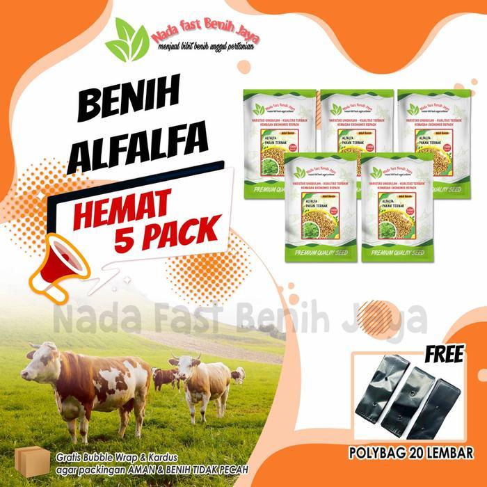 5 Pack benih alfalfa - benih pakan ternak benih tanaman alfalfa - 5 Pack benih alfalfa