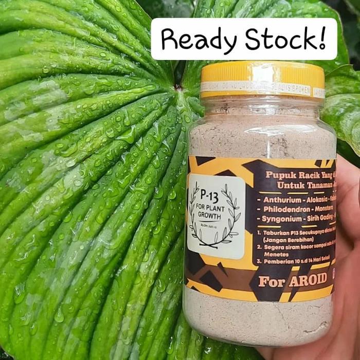 Pupuk P13 AROID 320ml TERLARIS
