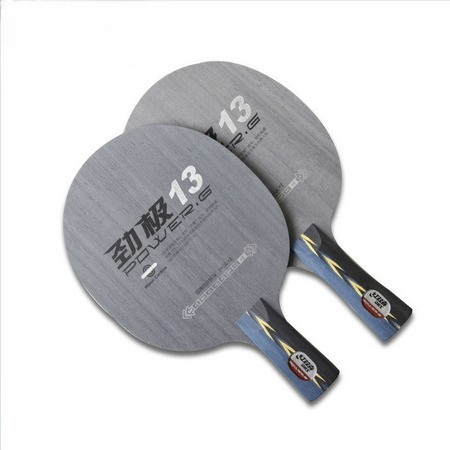 DHS POWER G13 Table tennis racket
