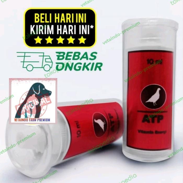 ATP VITAREST OBAT DOPING BURUNG MERPATI SUPLEMEN MENAMBAH STAMINA DARA by Happypaws id