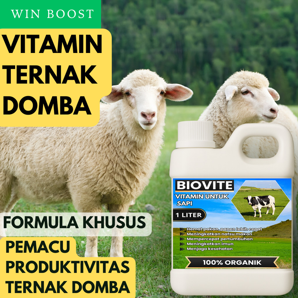 Vitamin domba probiotik-penambah nafsu makan- domba cepat besar-formula khusus domba