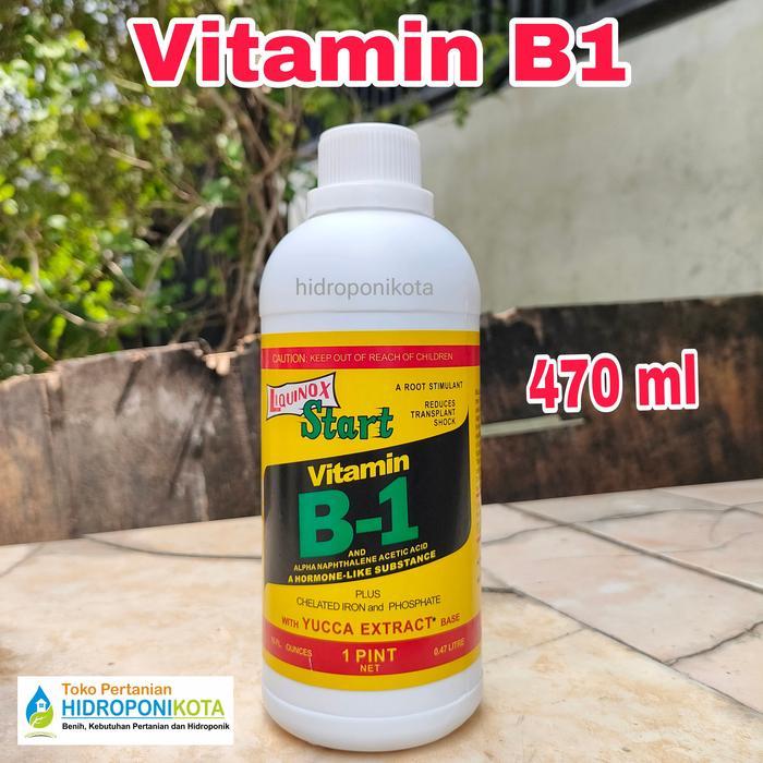 vitamin B1 470 ml - vitamin B1 untuk tanaman