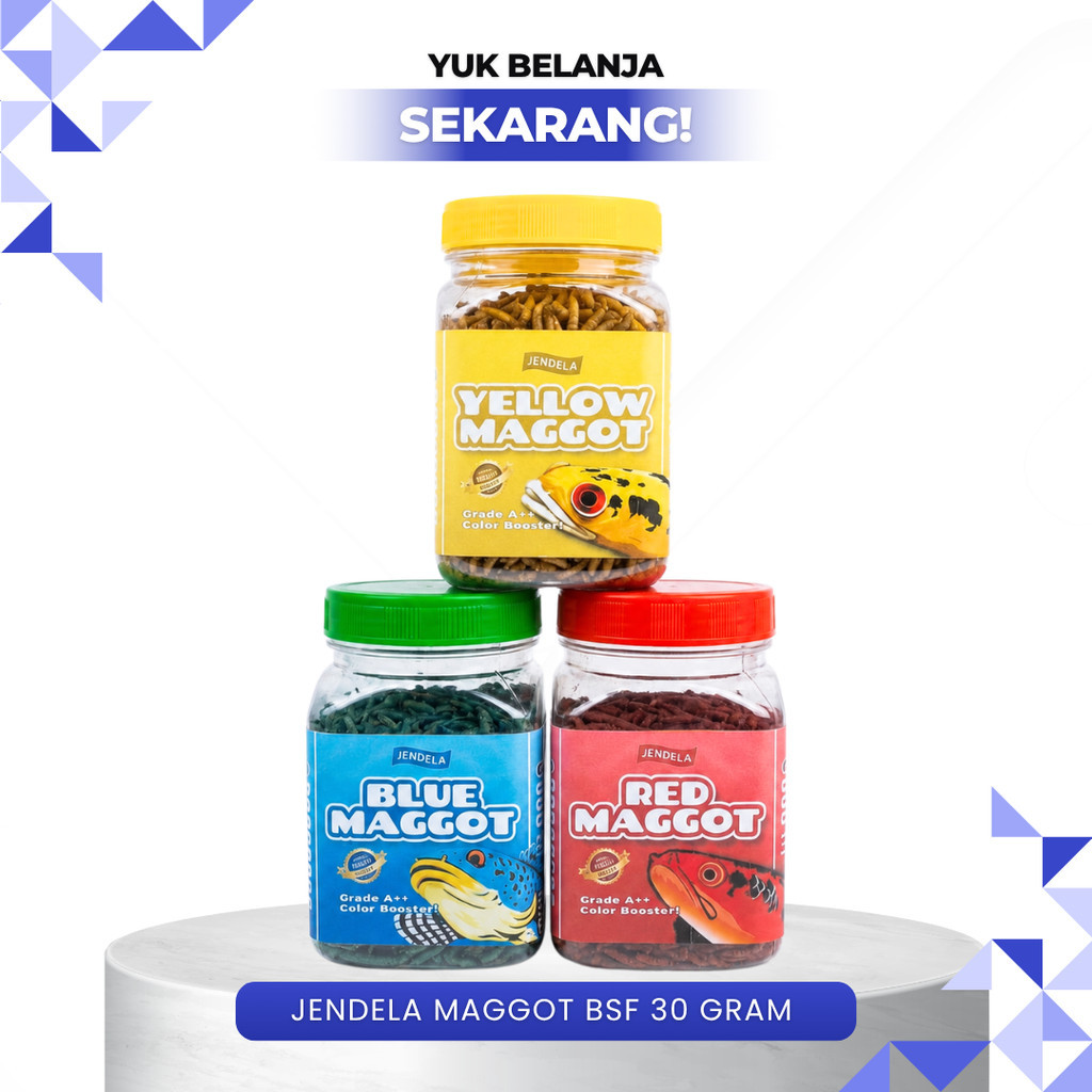JENDELA MAGGOT BSF KERING ALL COLOUR 30 GRAM GRADE A++ - Pakan Ikan Ukuran Besar Untuk Ikan Channa O