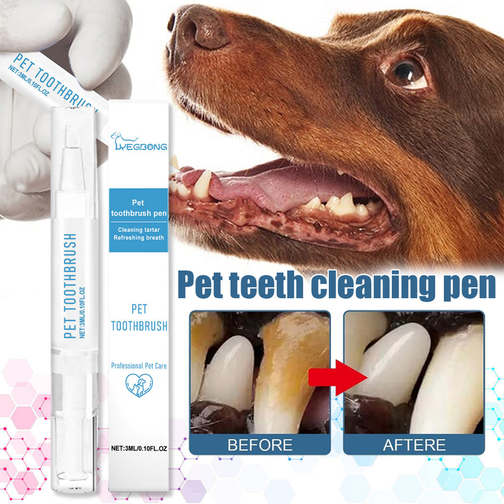 Pembersih Karang Gigi odol kucing penghilang bau mulut Sikat Gigi Anjing odol anjing karang gigi Spa
