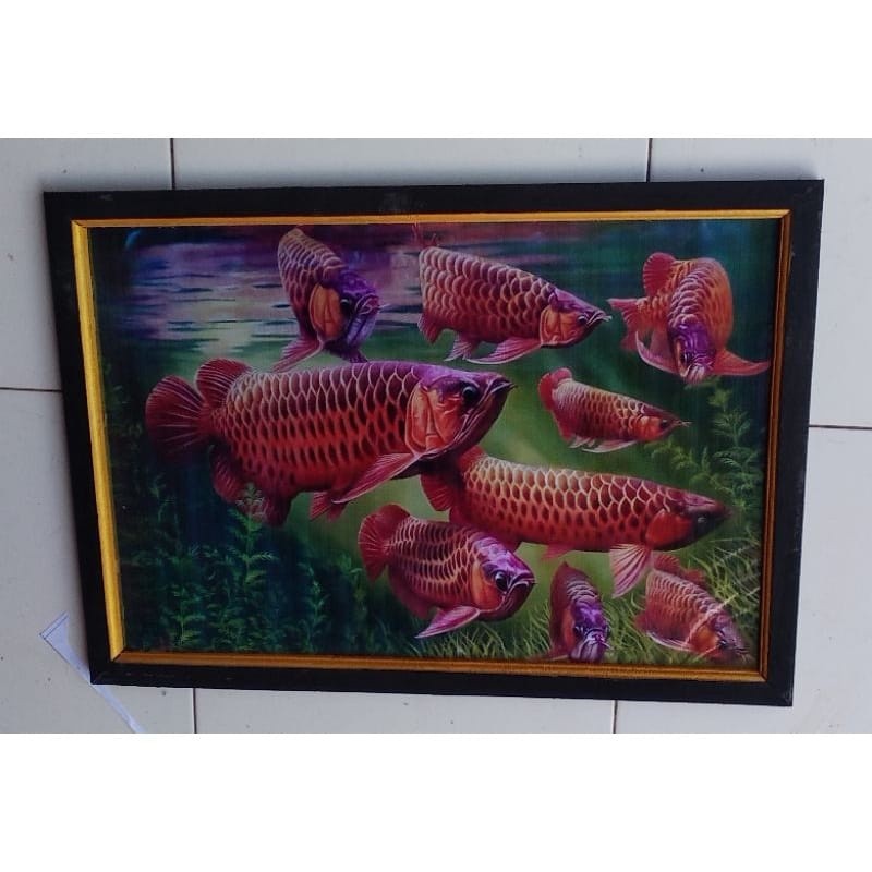 Hiasan dinding murah lukisan murah gambar ikan arwana super red plus bingkai ukuran 65×45