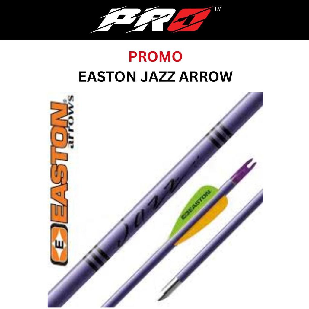 EASTON ARROW ALUMINIUM JAZZ PURPLE / PROMO ARROW MURAH ORIGINAL EASTON USA / ANAK PANAH MURAH ALUMIN