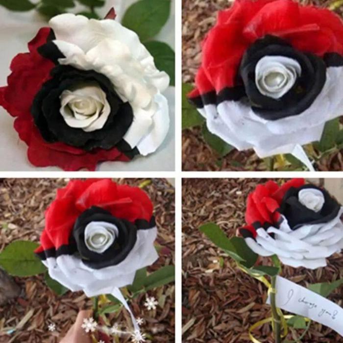 COD TANAMAN HIAS MAWAR IMPOR TRICOLOUR//MAWAR HIDUP