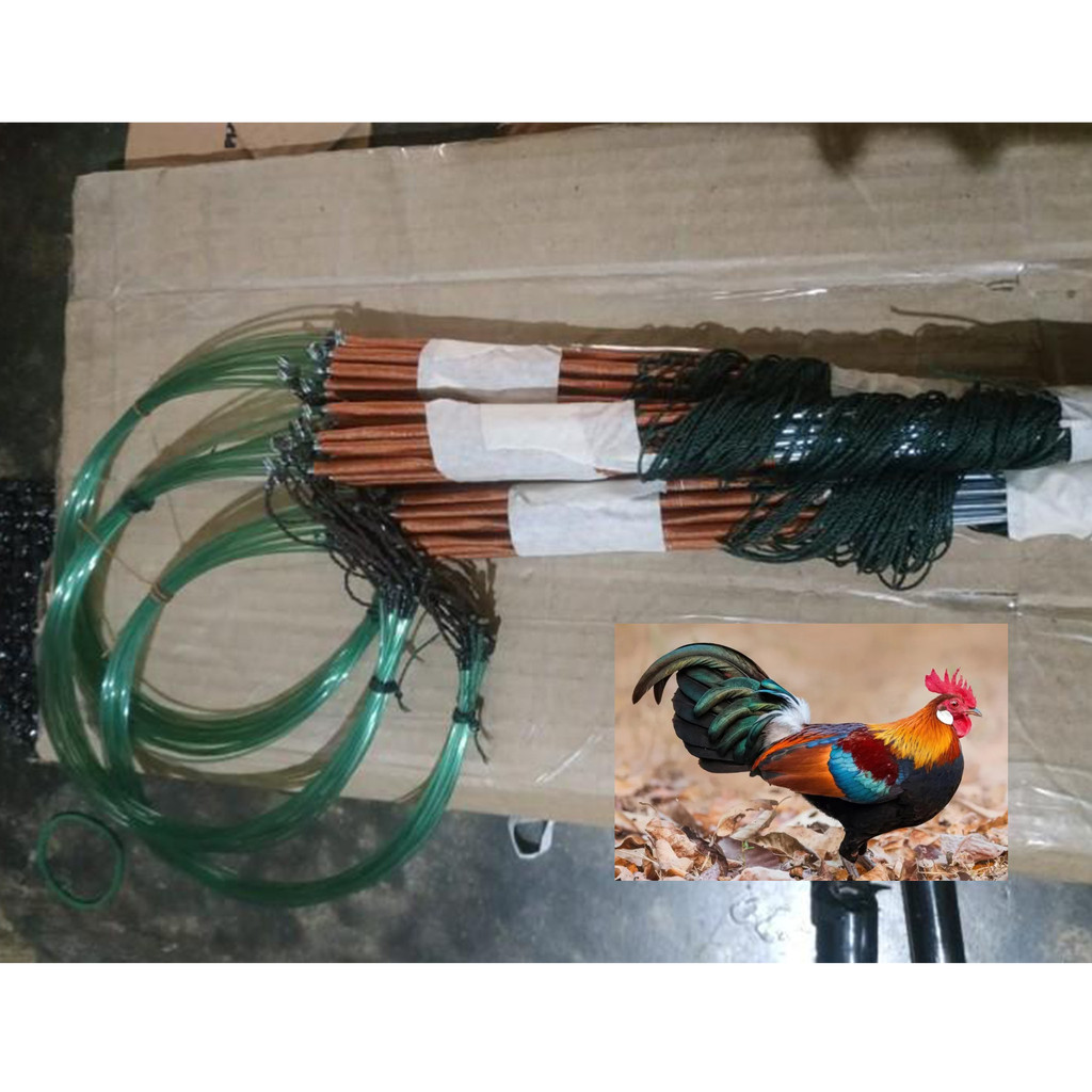 RACIK AYAM HUTAN 20 MATA JERAT 10 TIANG /JERAT AYAM HUTAN