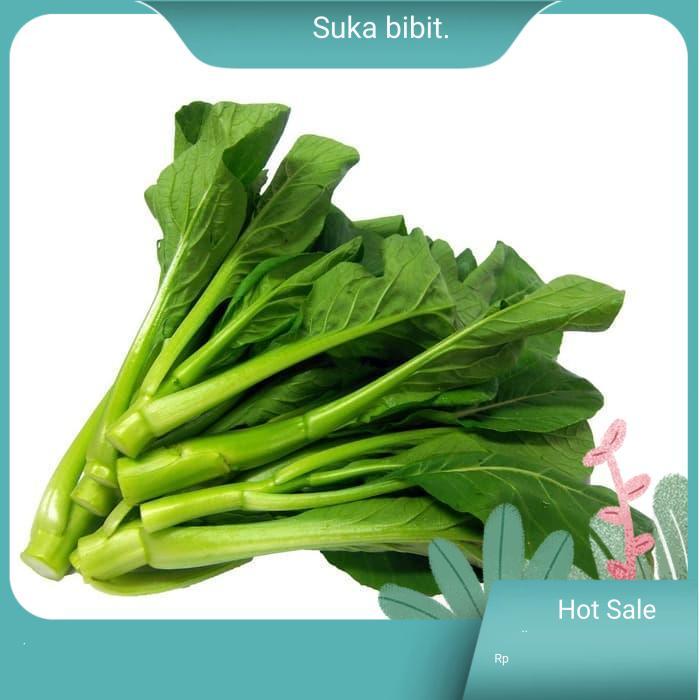 (isi ±1000)Bibit / Benih Biji Sawi Hijau - CAISIM MANIS  |suka bibit |