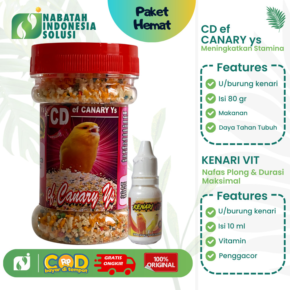 PAKET KENARI ROLL CD CANARY DAN KENARI VIT SEHAT DAN GACOR 100% ORIGINAL