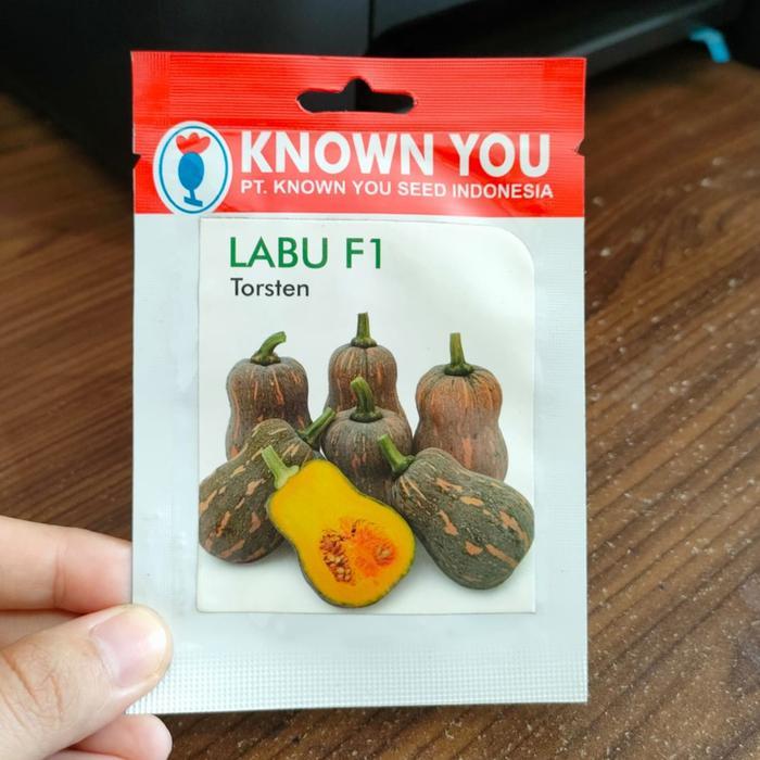 benih labu madu torsten KYS - bibit labu madu - benih butternut