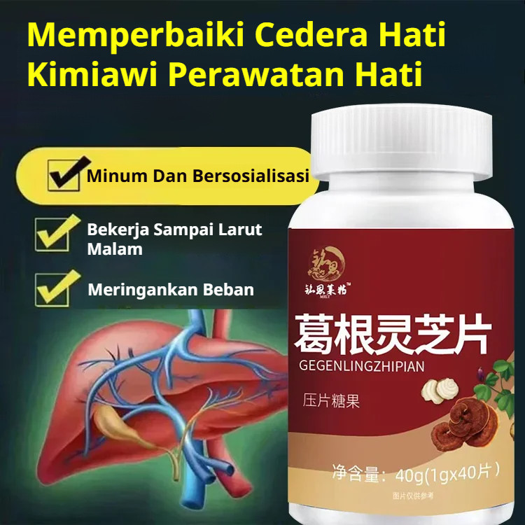 Tablet Akar Kudzu Dan Ganoderma / Pueraria Glossy Ganoderma Tablets/Pueraria Schisandra Ganoderma Ta