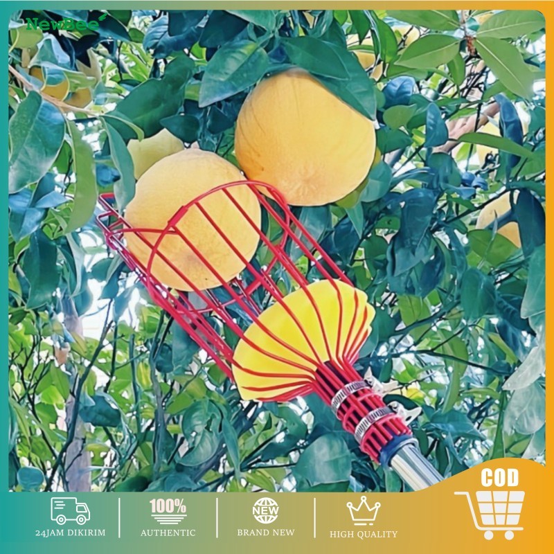 Alat Pemetik Buah Tinggi Alat Petik Buah Tongkat Alat Petik Pemetik Buah Serbaguna Tahan Lama Bahan 