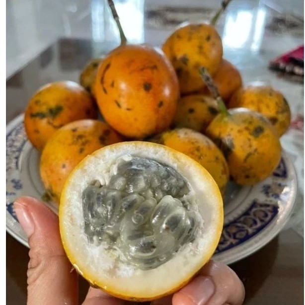buah konyal fresh 500gr ciwidey