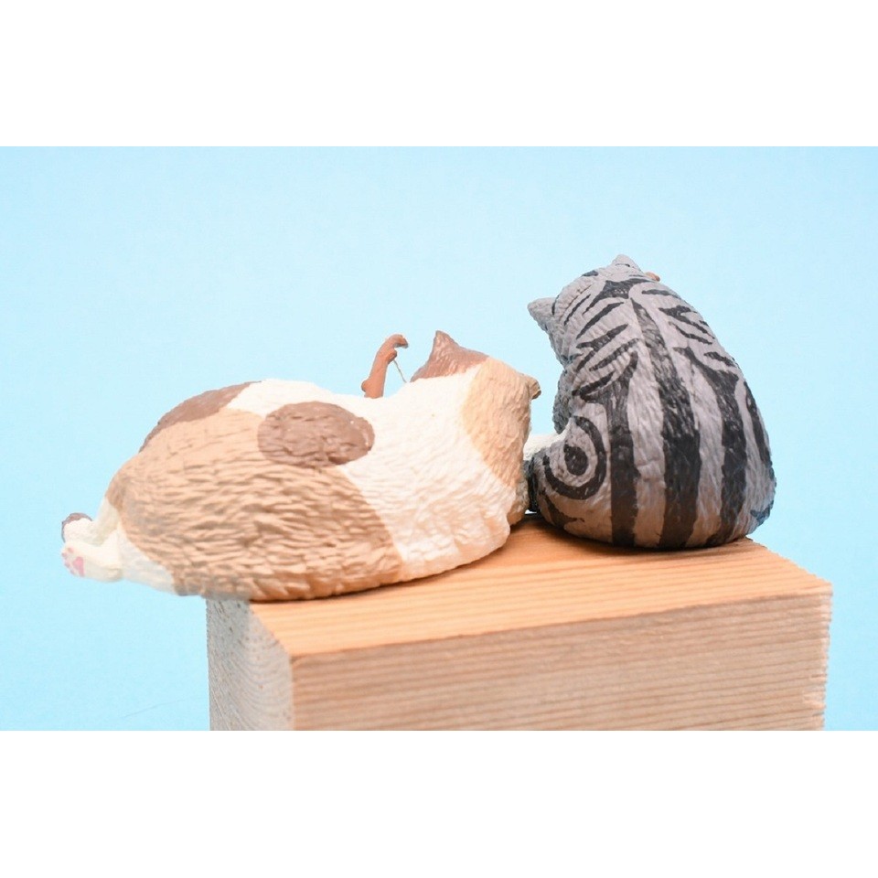 Yell capsule toys Fishing Weather 5 Chubby Cats Killing Time kawaii Exotic shorthair calico Scottish