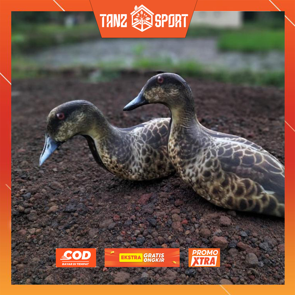 JONTROT BONEKA BURUNG BELIBIS BATU HIASAN MIRIP ASLI