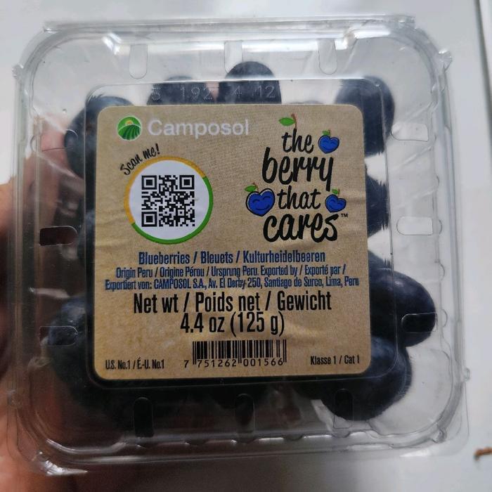 Blueberry jumbo fresh segar 125 gr