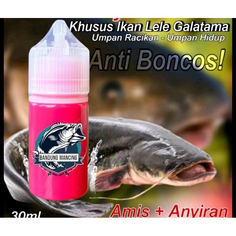 Essen Oplosan Galatama Lele Paling Gacor, Essen Ikan Lele Kolam Harian Dan Galatama Indukan Paling J