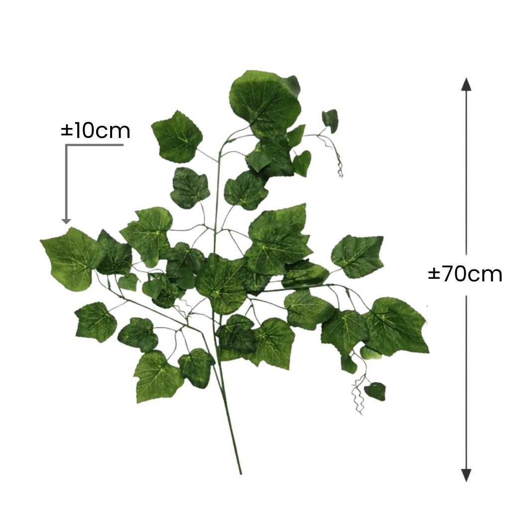 Daun Anggur Plastik Dekorasi 70cm 1 Lusin – Grosir Hiasan Dekorasi Wedding & Tenda
