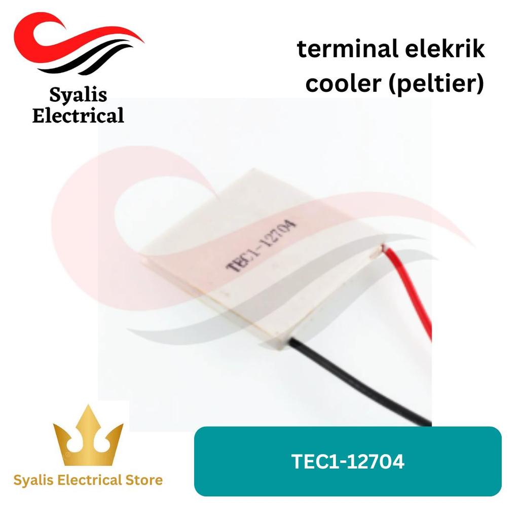 terminal elektrik cooler TEC1-12704 30mm x 30mm