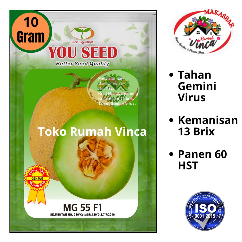 Bibit Benih Melon Madu MG 55 F1 10g setara 700 Biji Cap You Seed