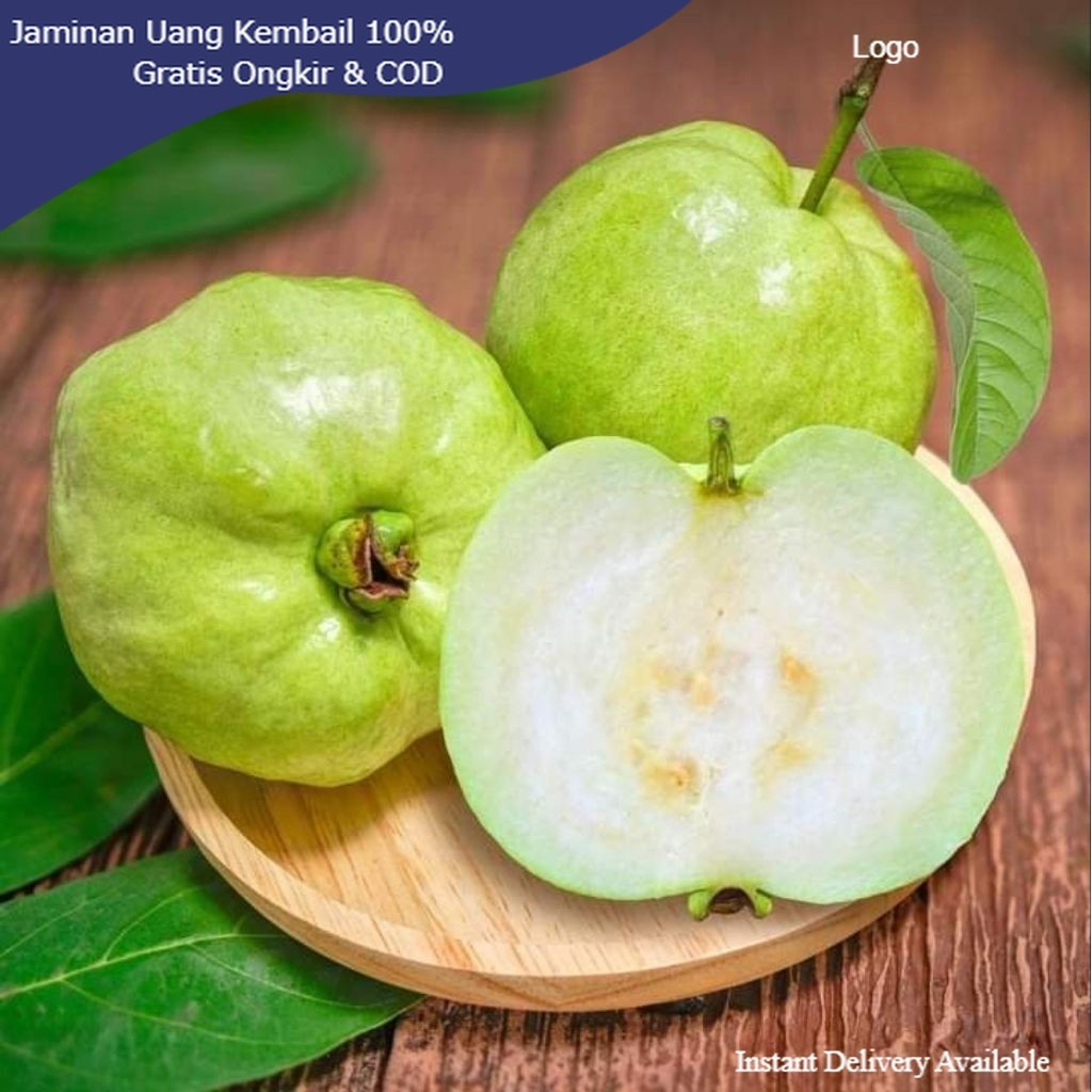 TERLARIS READY Jambu Kristal Premium (1kg/1000g) Asli Jember