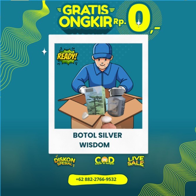 PROMO PUNCAK AKHIR TAHUN  DIJAMIN AMPUH  ORIGINAL 100 % kapsuma gingseng kianpi pil