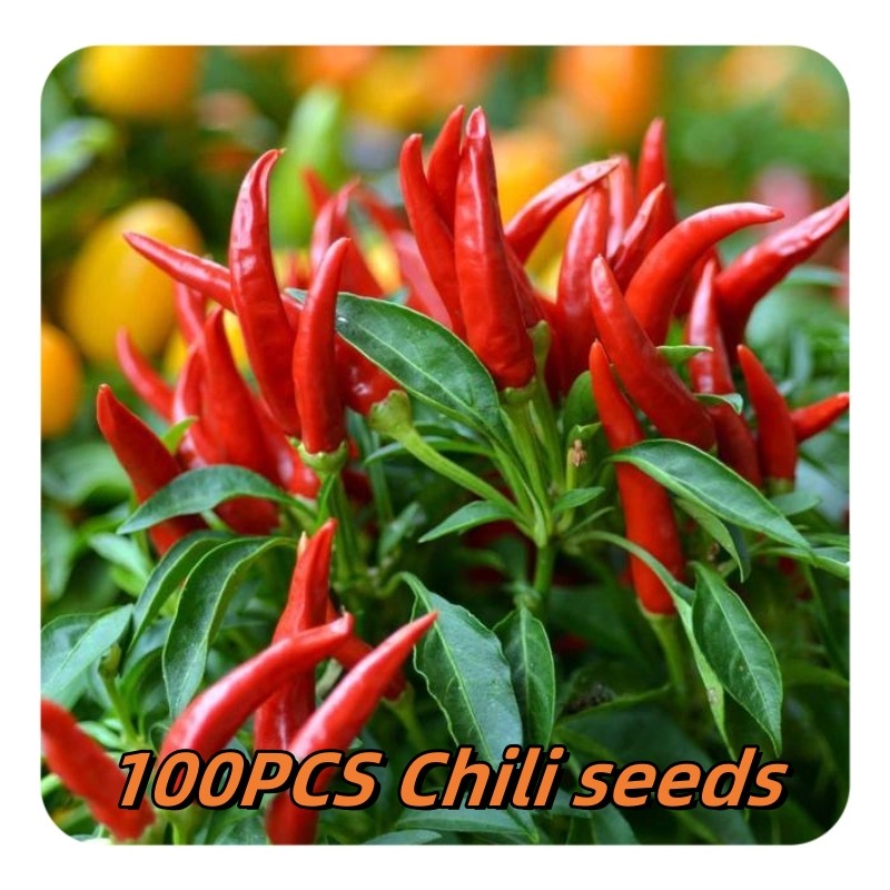 50butir benih Hot Pepper Taiwan Chili seeds/Garden and farmland bonsai plant seeds/Organic vegetable