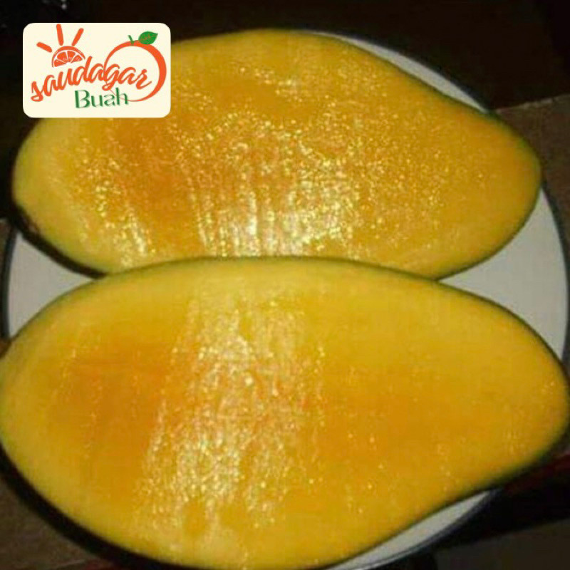 BUAH MANGGA KIOJAY MANGGA THAILAND MATANG MANIS GROSIR 2KG