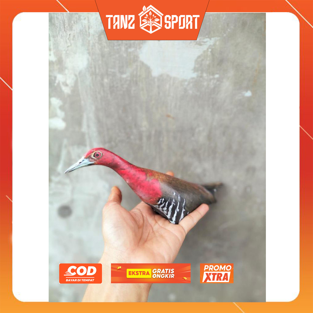 JONTROT BONEKA BURUNG SINTAR LADANG / SINTAR KEBUN MIRIP ASLI AMPUH