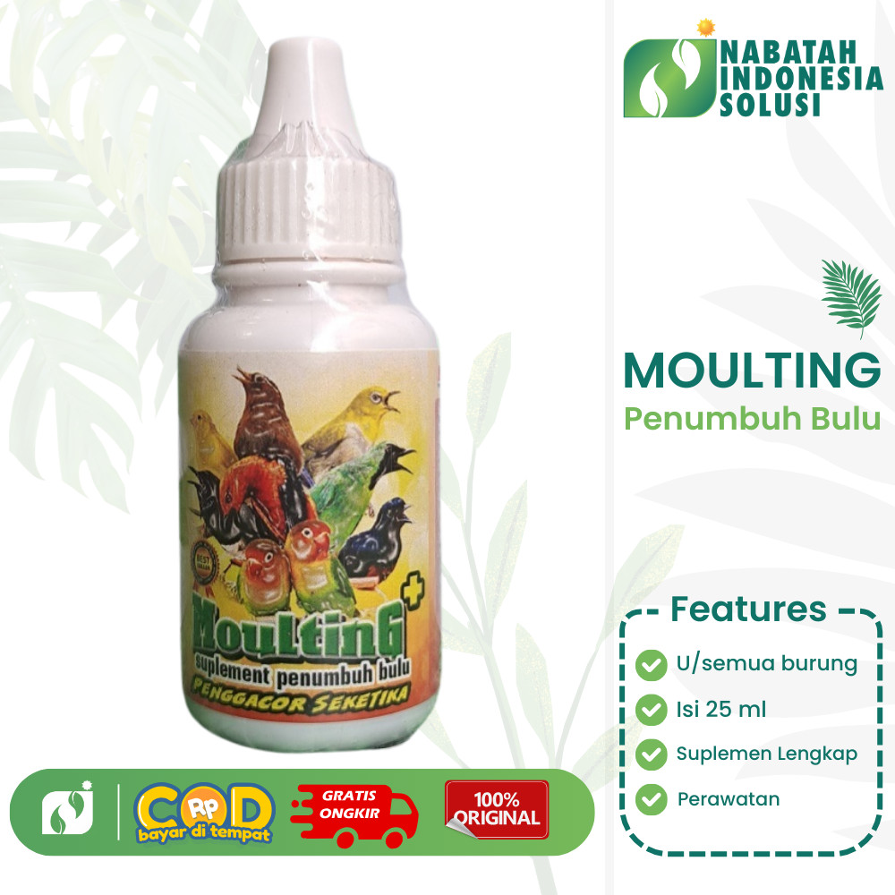Moulting Penggacor Premium 25ml Vitamin Mabung Burung Penumbuh Bulu Murai Kacer Lovebird Kicau