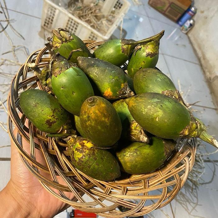>COD_ PINANG STW 6 Buah Setengah Tua Kulit Masih Hijau (Pangpung Alam)