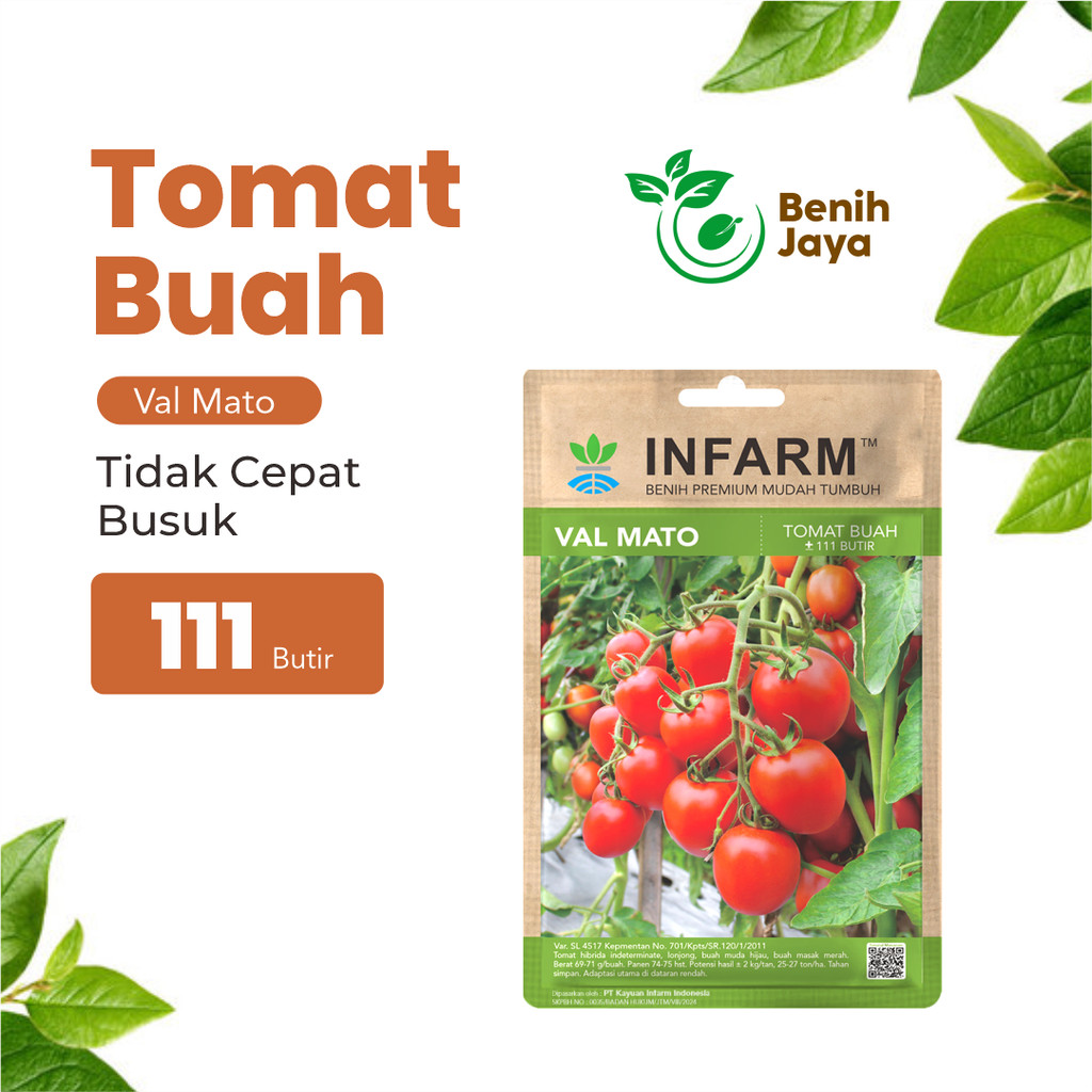 BENIH JAYA - Benih Buah Tomat Valmato Bibit Buah Tomat Manis Biji Tomat Buah Valmato Tomat Buah Mani