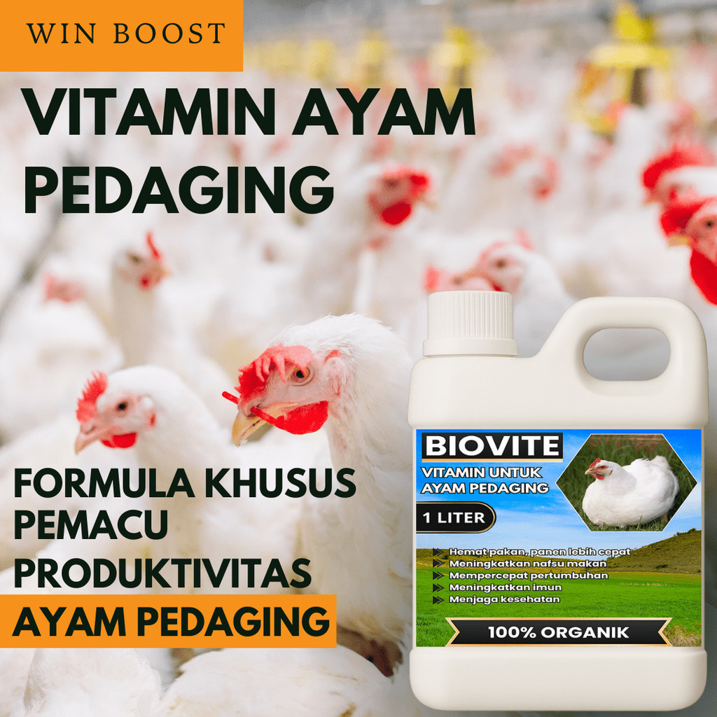 Vitamin Penggemuk Ayam Pedaging, Ayam Kampung, Ayam Petelur, Meningkatkan Nafsu Makan Ayam