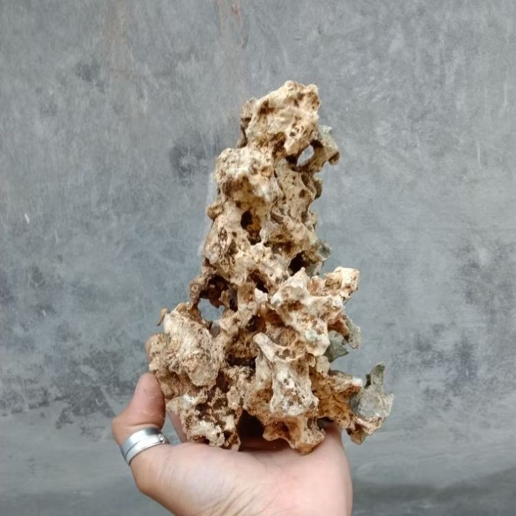 Batu karang bolong untuk bonsai ukuran small/aquarium
