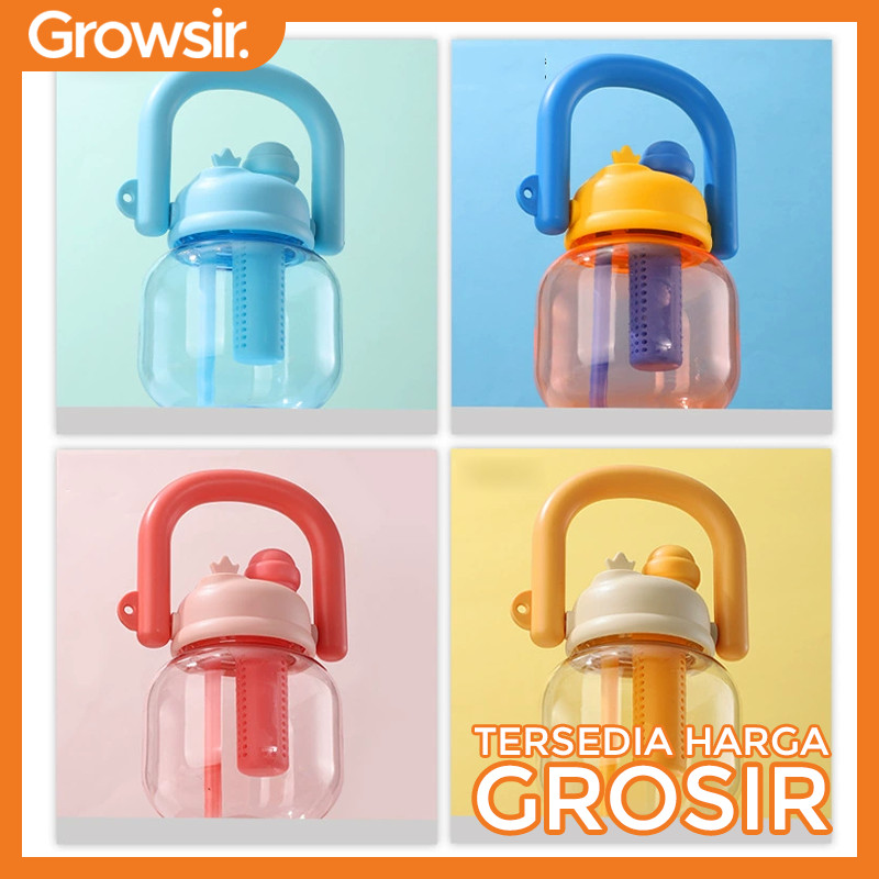 GROWSIR Botol Minum Infuser Buah BPA FREE 850ml Anti Tumpah | Tumbler Lucu Anak Dewasa Sedotan