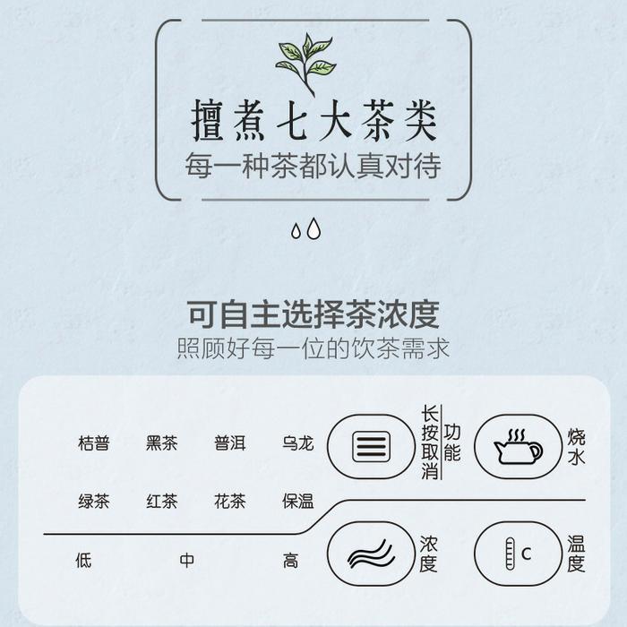 Bear Electric Tea Pot Tea Maker Kettle Listrik