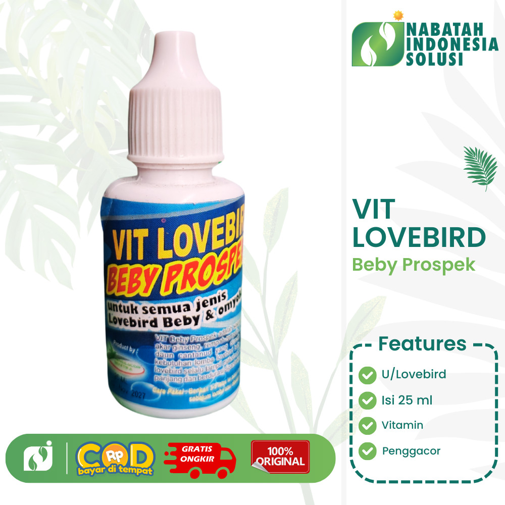 VITAMIN BURUNG LOVEBIRD PROSPEK VITAMIN KONTES ALAMI LOVEBIRD JUARA