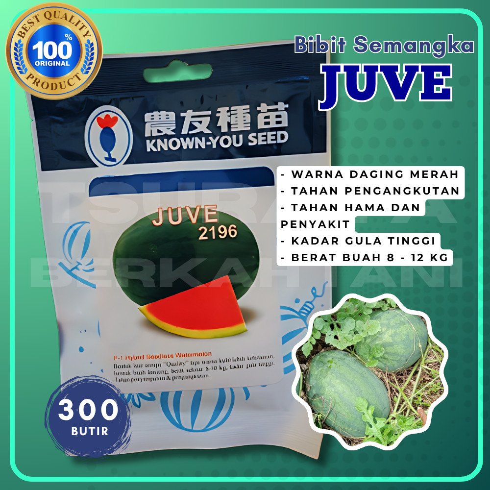 BIBIT ORIGINAL Semangka Juve 2196 300 Butir - Cap Known You Seed TERLARIS DAN DAPAT DI PERCAYA