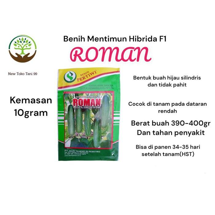 Benih bibit Timun hibrida ROMAN F1 10gram produksi pertiwi