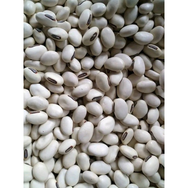 Kacang koro binong / Koro pedang 1kg