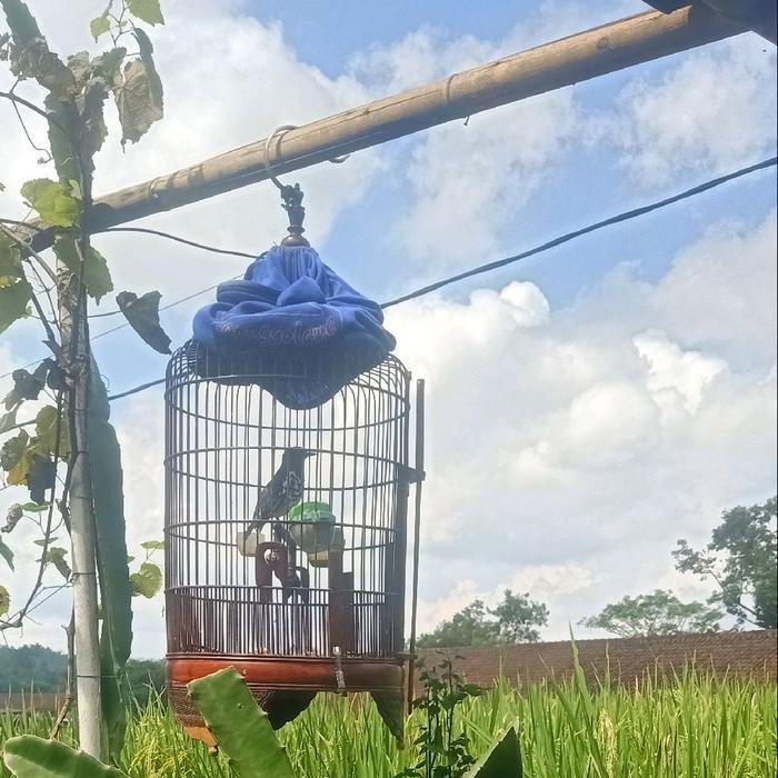 12.12 SALE kandang anis kembang sangkar bambu